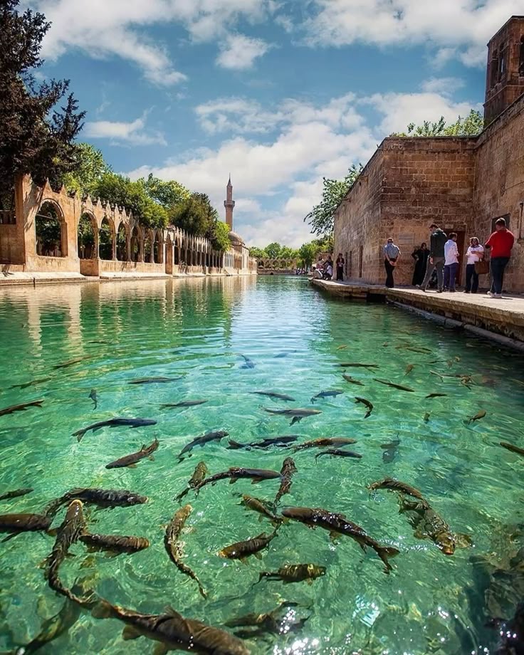 Güneydoğu ( Şanlıurfa • Mardin • Diyarbakır)