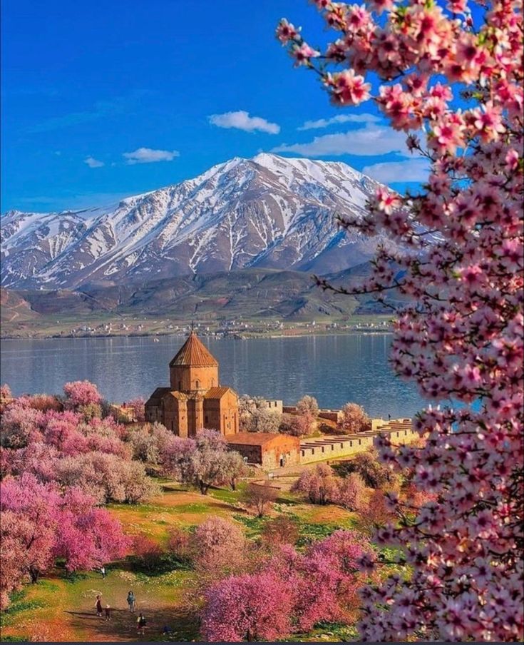 Van Badem Çiçeği Festivali 